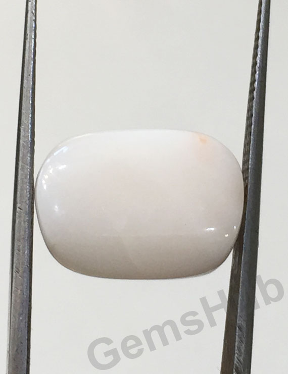 9.03 ct Natural Certified  White Coral/सफ़ेद मूंगा